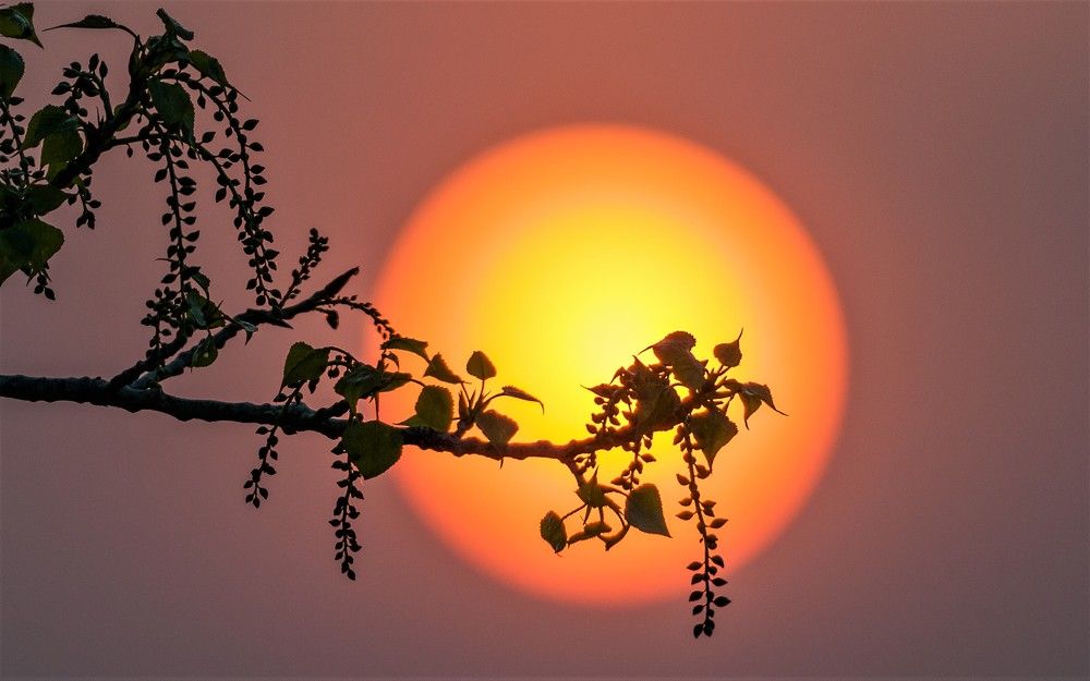 Photograph by константин