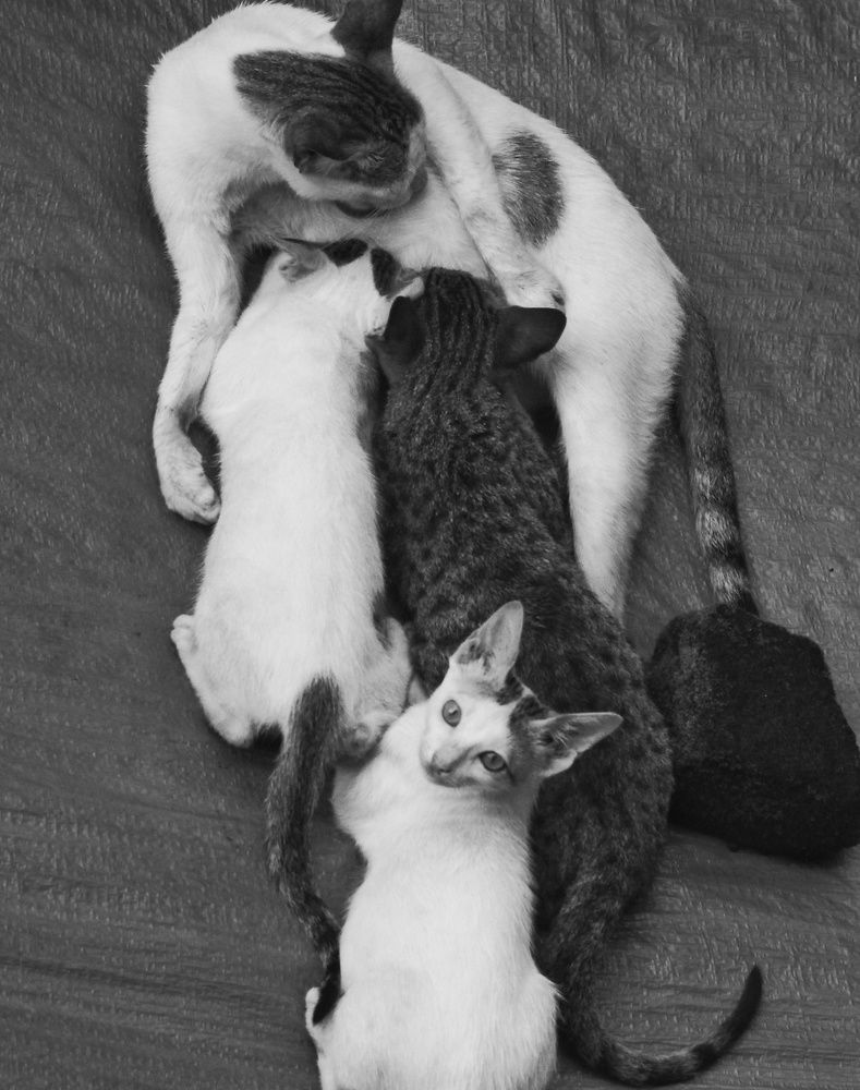 Photograph by Kapilesh Gujarathi