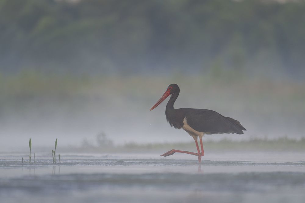 Photograph by Krzysztof Korc