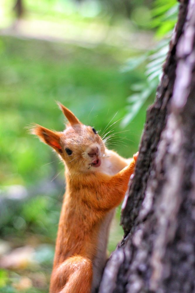 Photograph by Жанна Цветкова