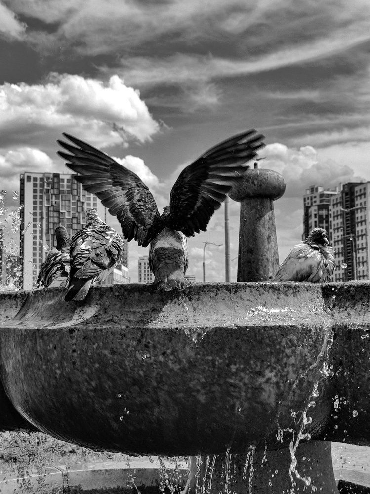 Photograph by Катерина Байдовская