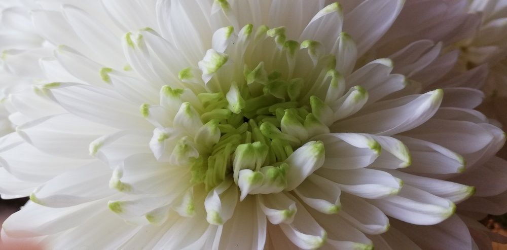 Photograph by Лариса Неудачина