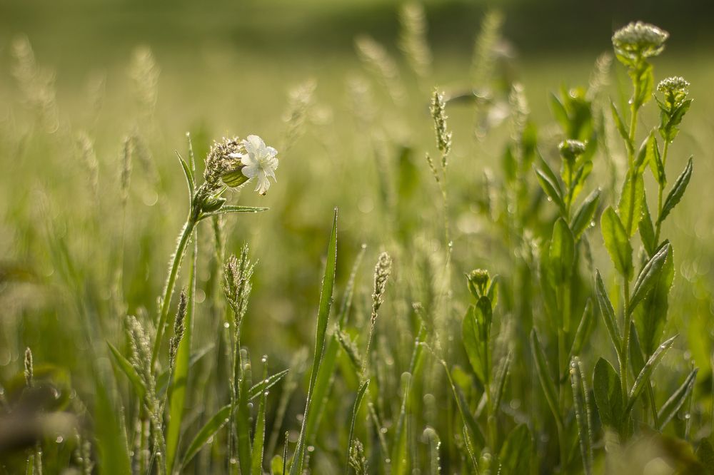 Photograph by Дина Железнова
