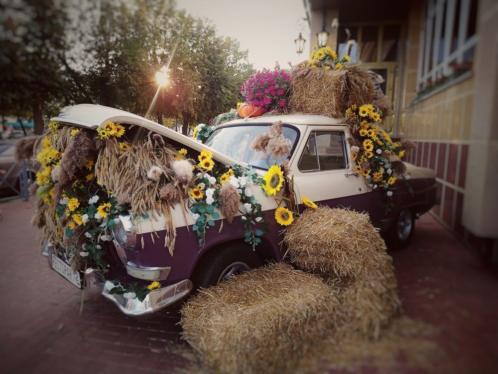 Photograph by Елена Силантьева