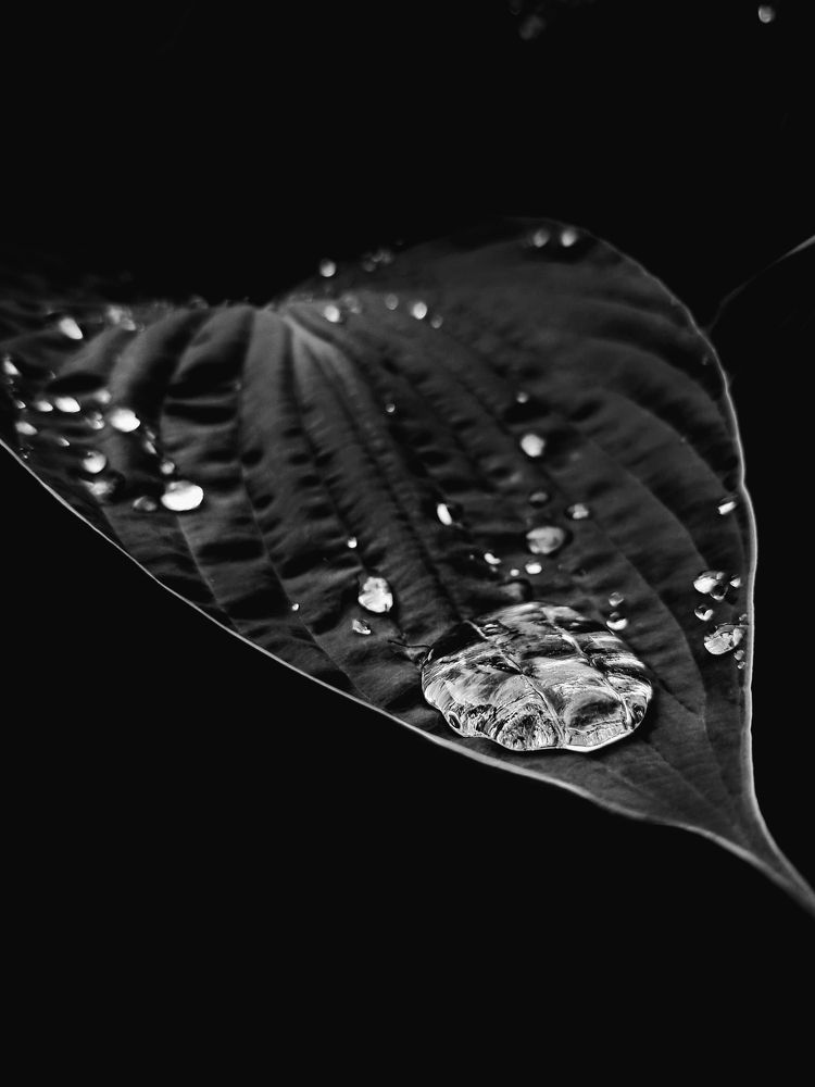 Фотография автора Виктория Мешкова