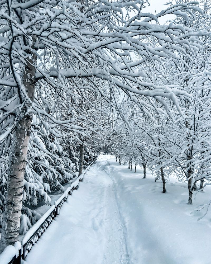 Фотография автора Алёна