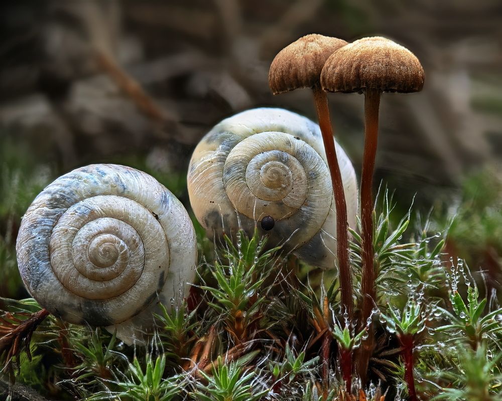 Photograph by Дмитрий Кузнецов