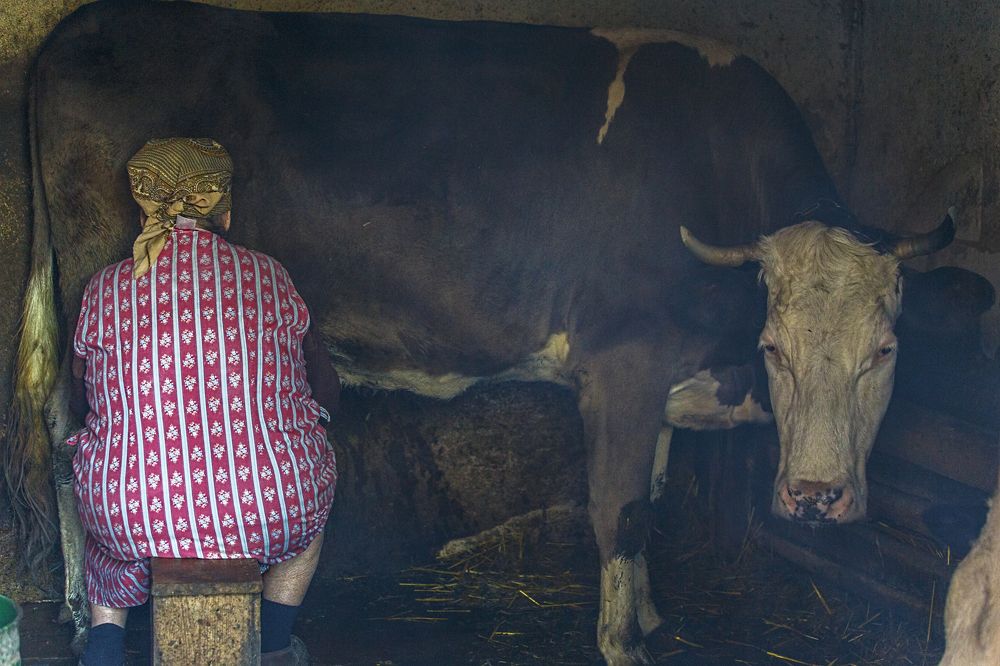 Photograph by Сергей Шпаков