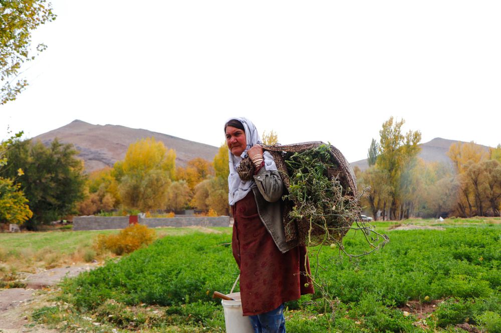 Photograph by Elahe Alizade