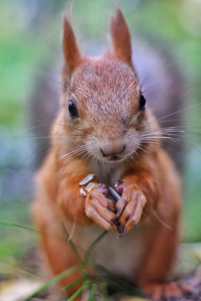 Photograph by Жанна Цветкова