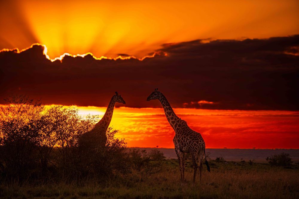 Photograph by Zubair Irshad