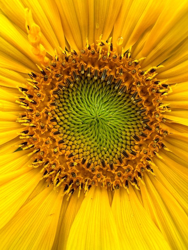 Photograph by Лидия