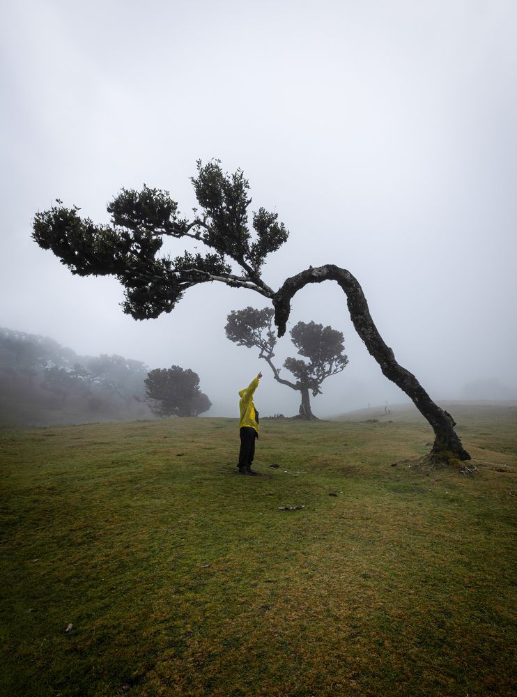 Фотография автора Ioana Crisan