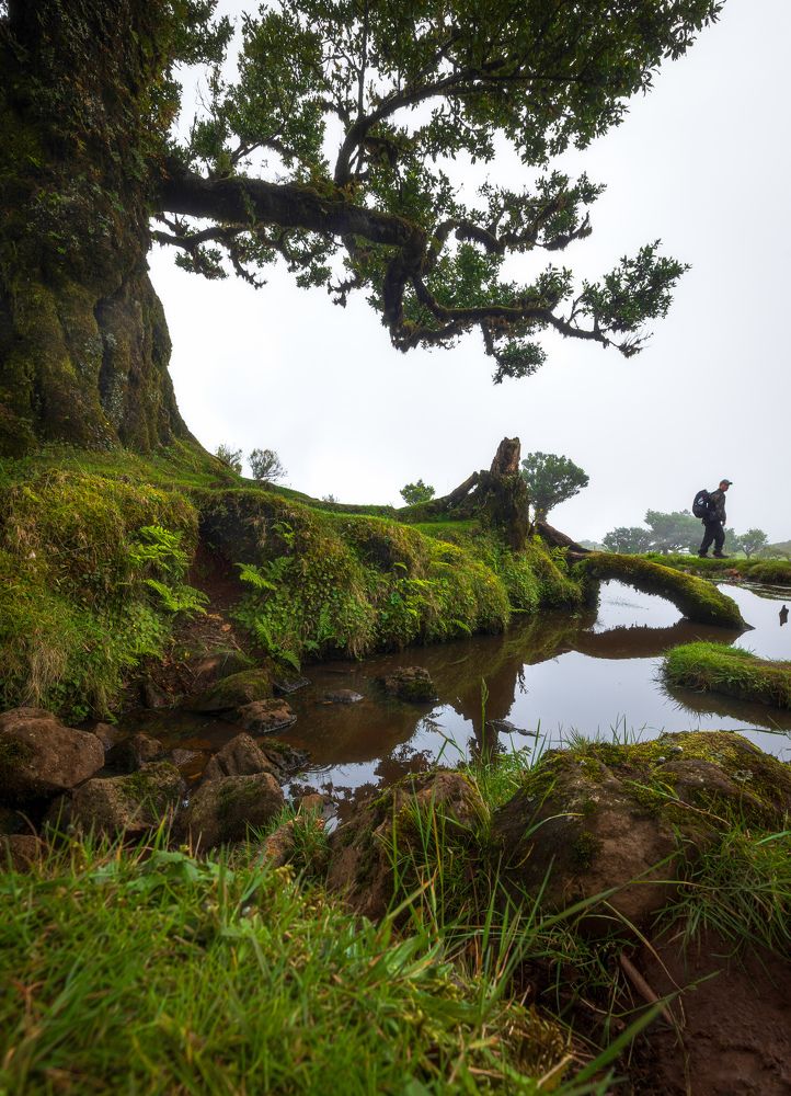 Фотография автора Ioana Crisan