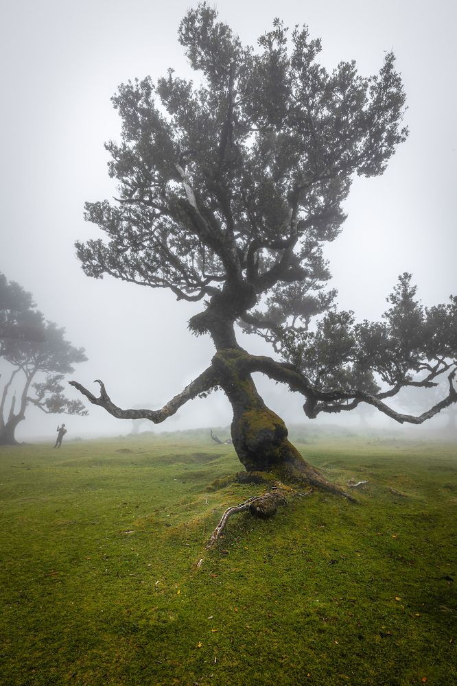 Фотография автора Ioana Crisan