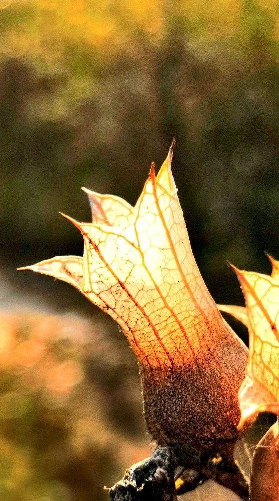 Фотография автора Сергей Можаев