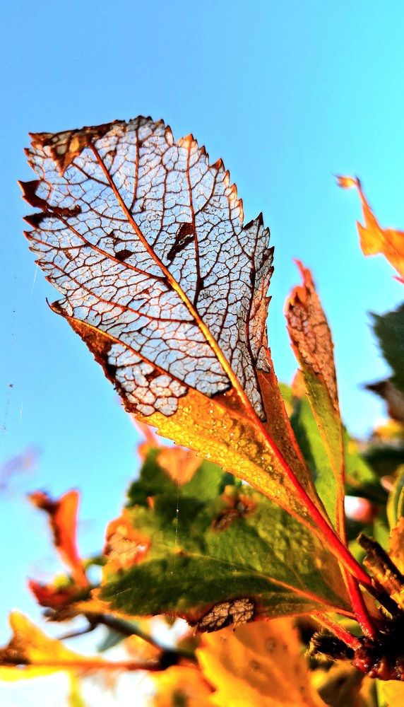 Фотография автора Сергей Можаев