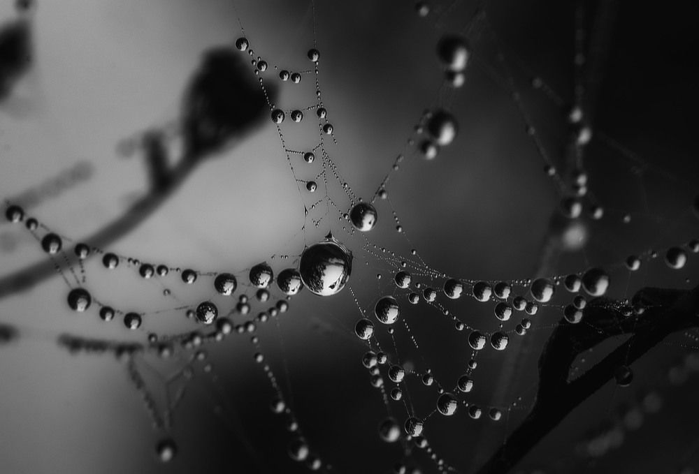 Photograph by Юлия Лушникова