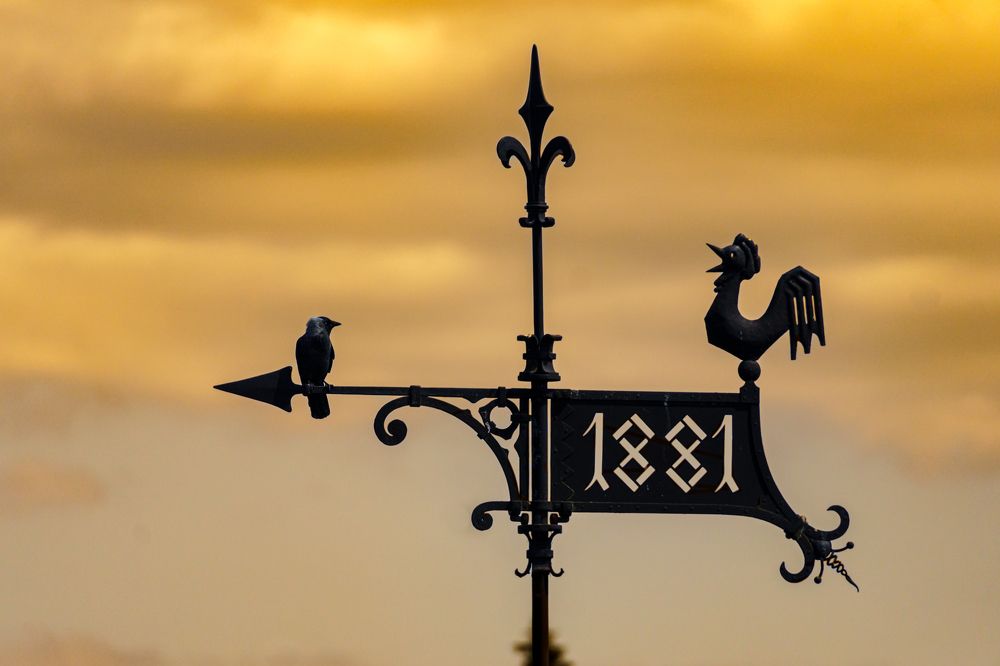 Photograph by Valdis Serzhans