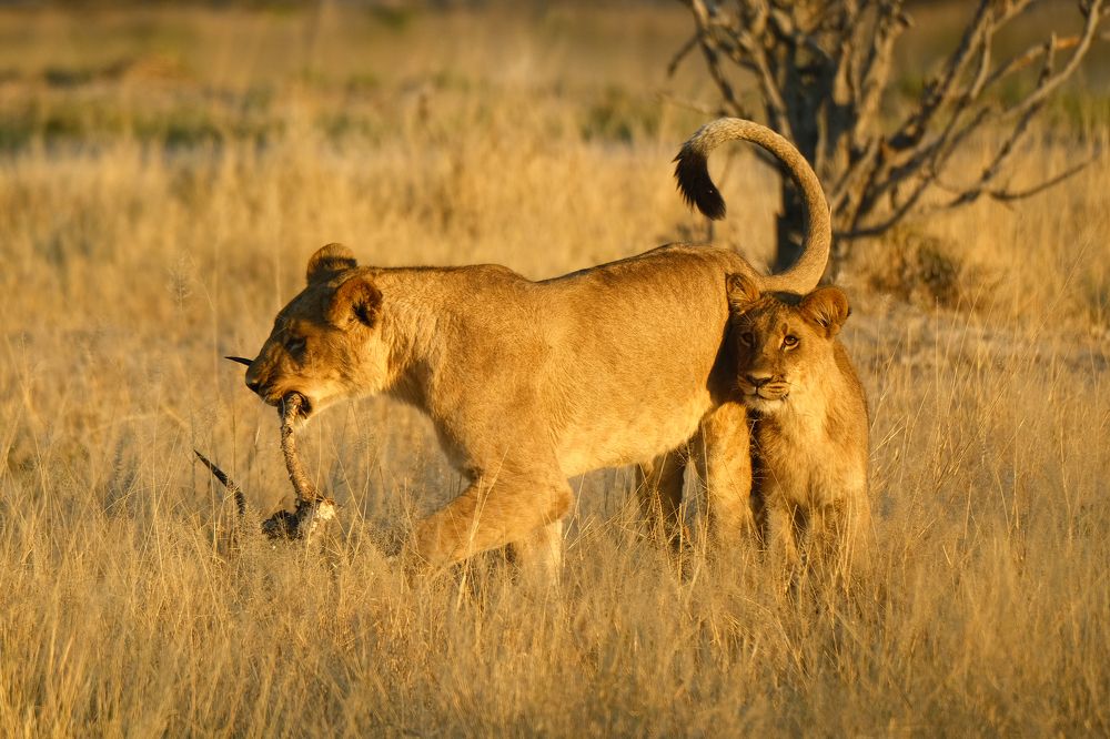 Photograph by Ирина Худзинская