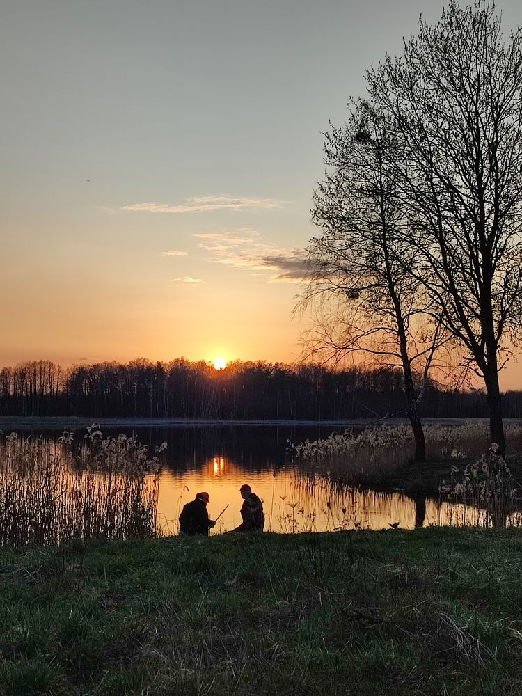 Photograph by Ольга Сучкова