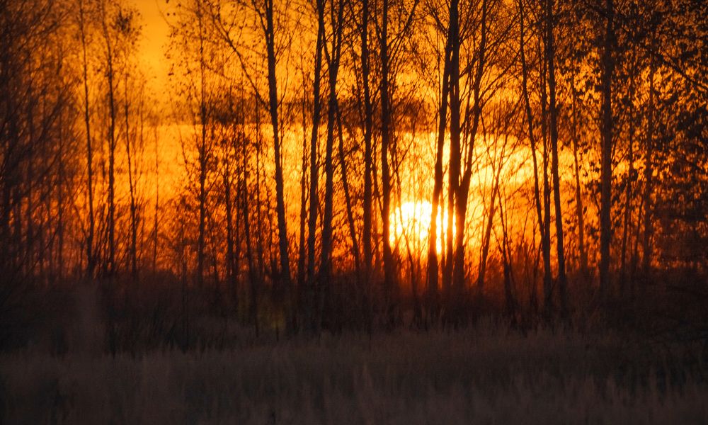 Photograph by Татьяна Романова