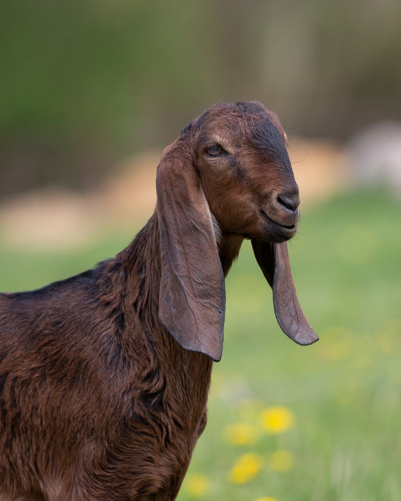 Photograph by Kovaleva Irina