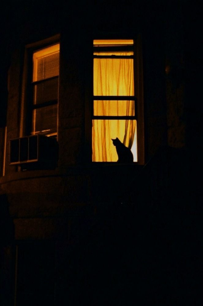 Photograph by Евгений Никонов