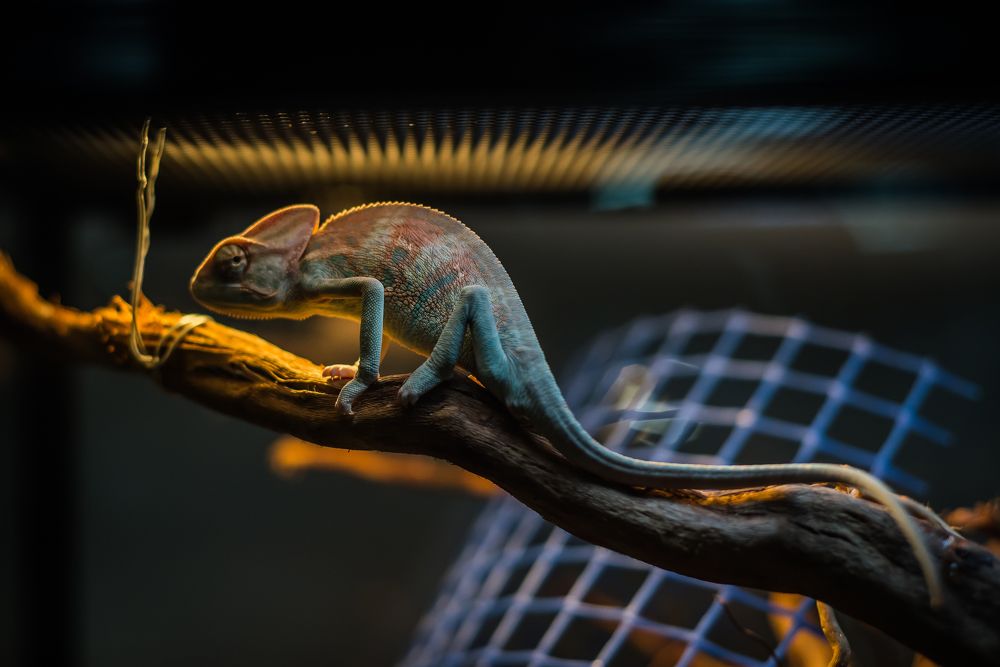 Photograph by Денис Винокуров