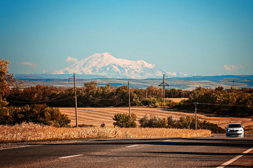 Фотография автора Юлия Носова