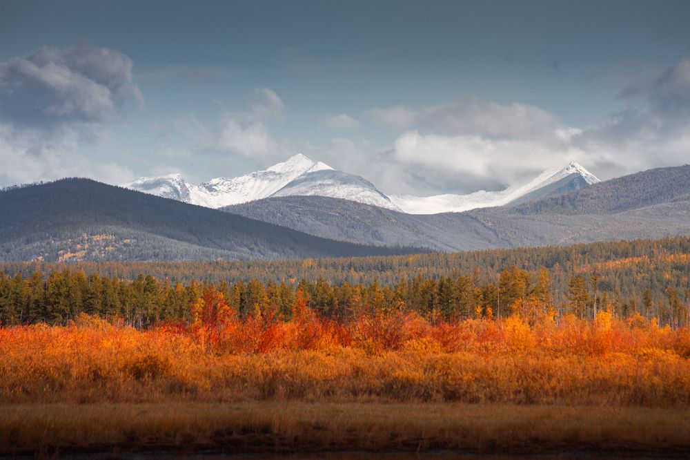 Photograph by Портных Дмитрий