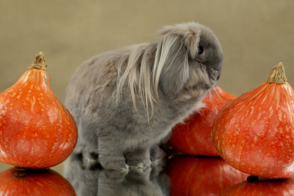 Photograph by Kovaleva Irina