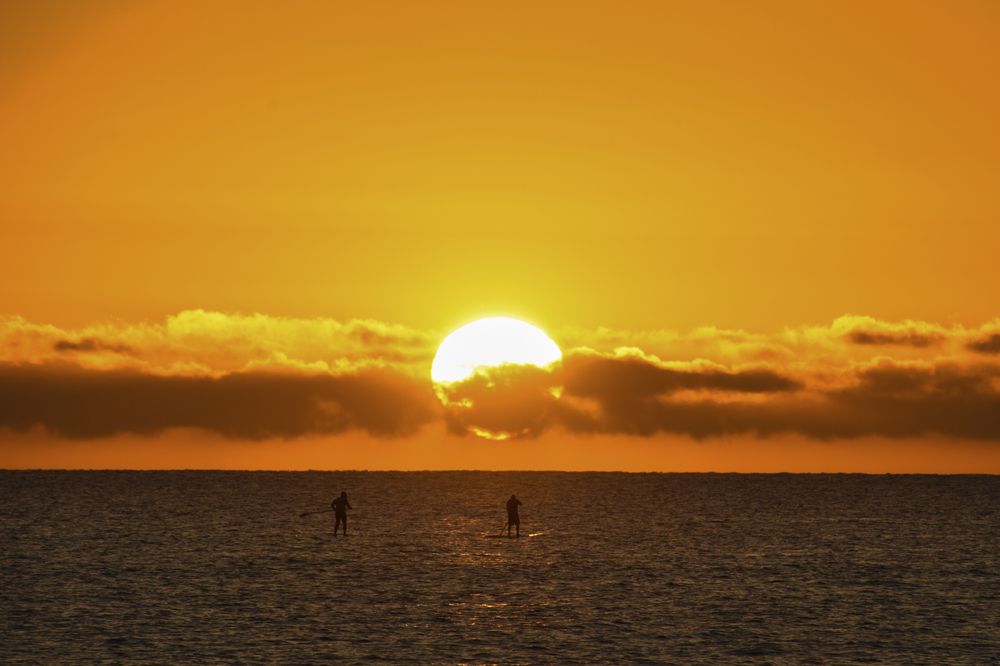 Photograph by Noe Castro