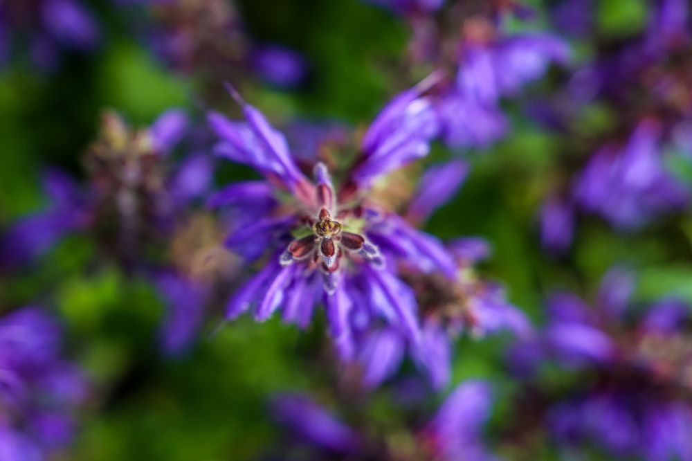 Photograph by Александр Карасев