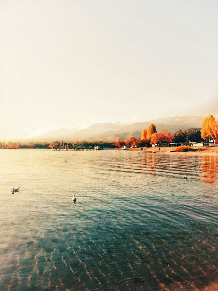 Фотография автора Julie Mishka