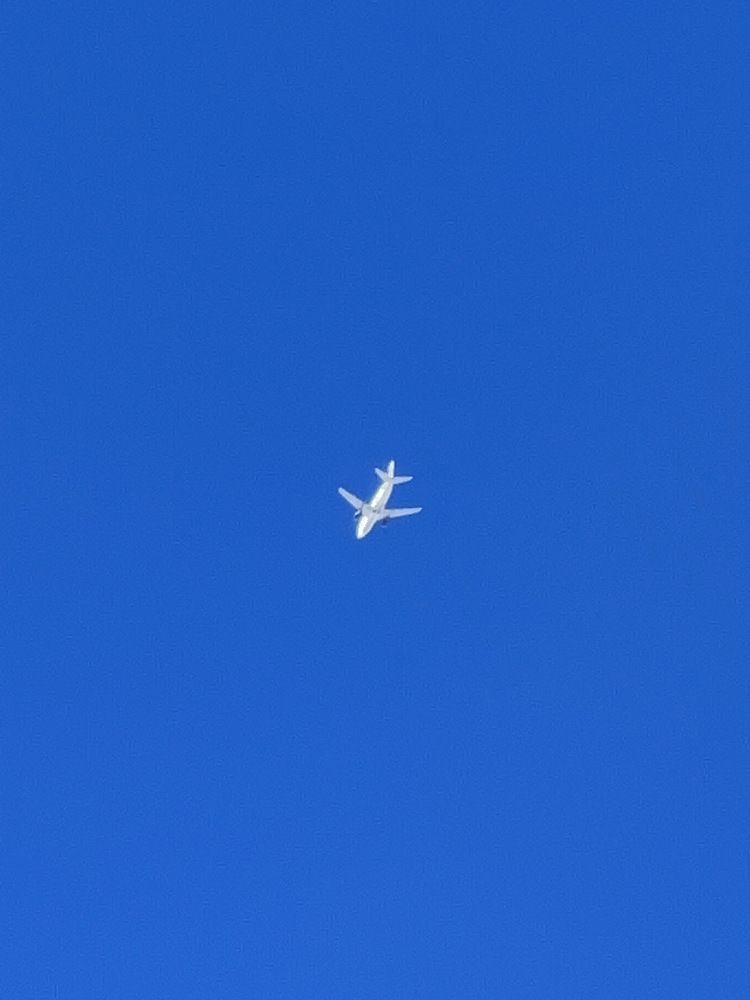 Photograph by shiva kabiri