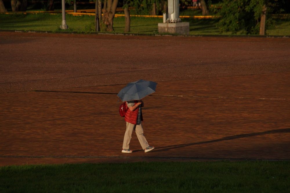 Photograph by Юлия Журавлёва