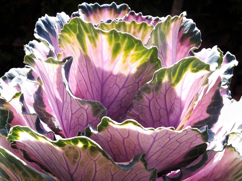 Photograph by Зорин Миша