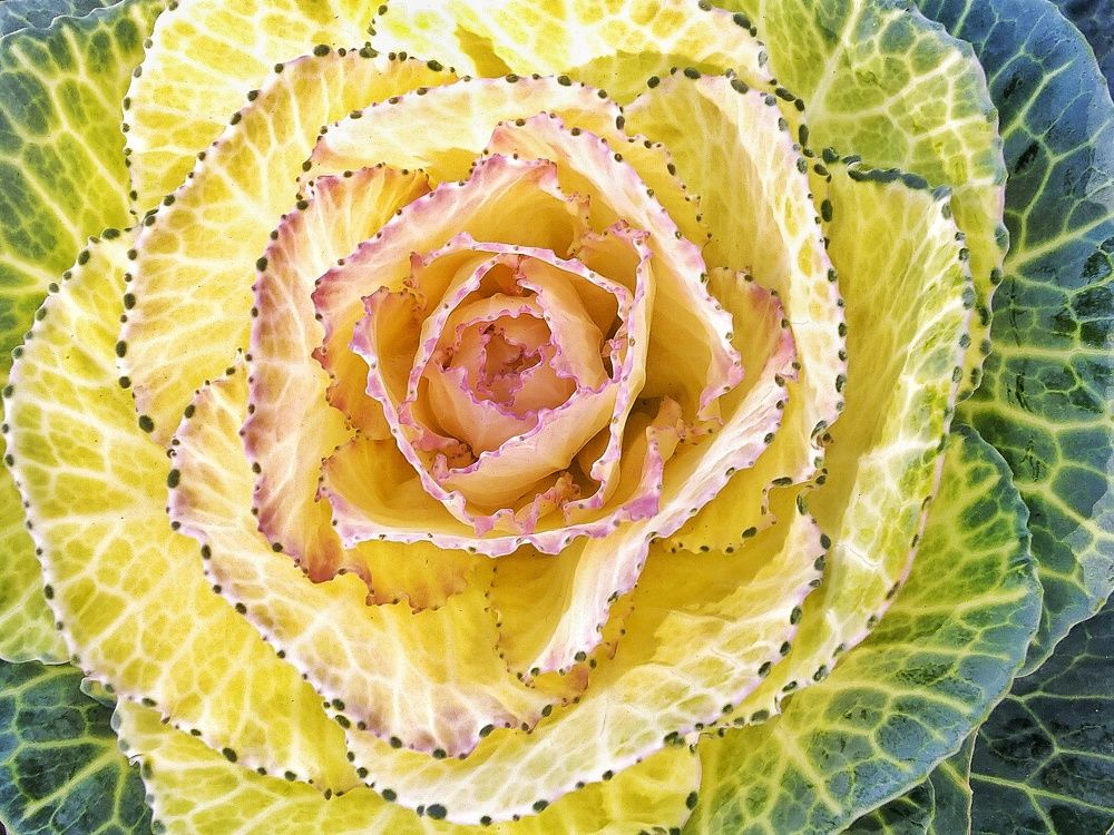 Photograph by Зорин Миша