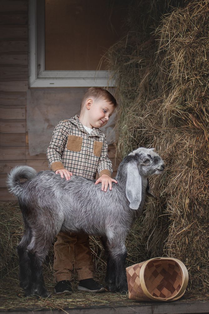 Photograph by Татьяна Рыбцева