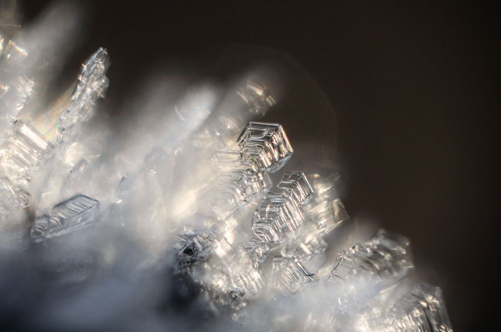 Photograph by Аряева Анна