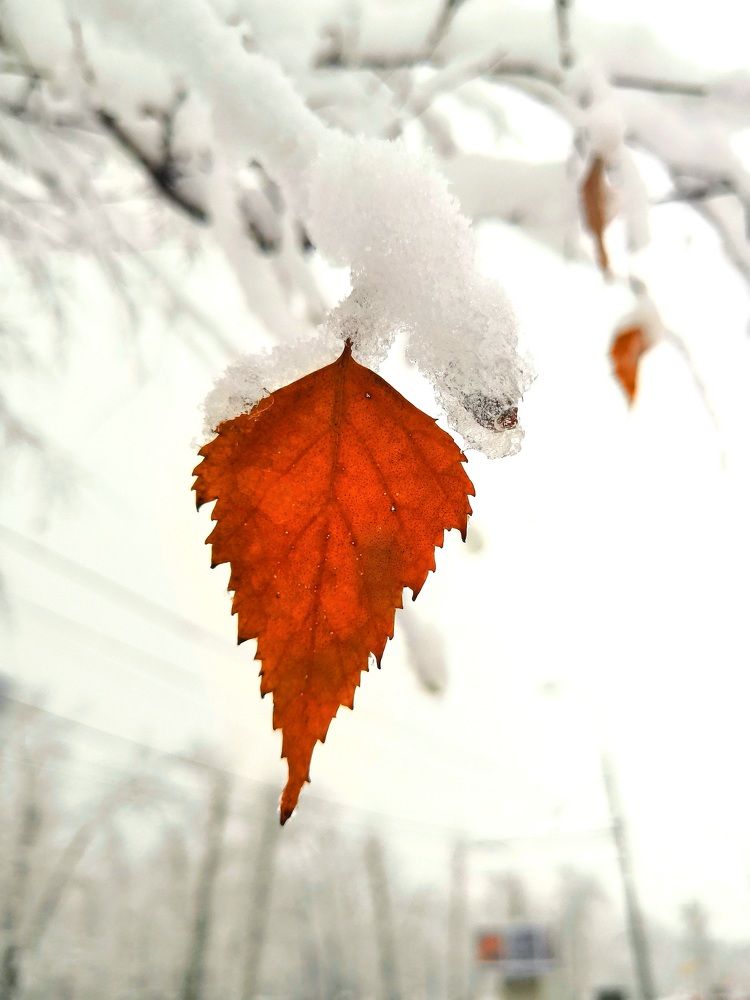 Фотография автора Сергей Можаев