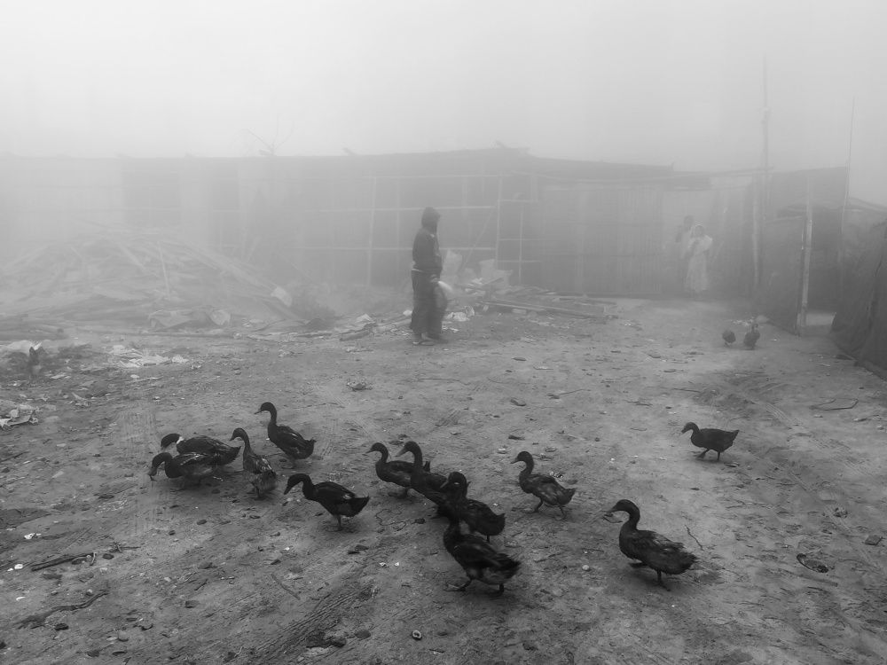 Photograph by Soumyak Saha Dhrubo