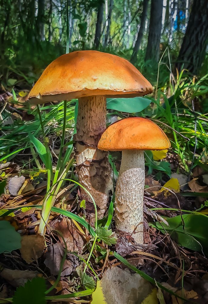 Photograph by Денис Винокуров