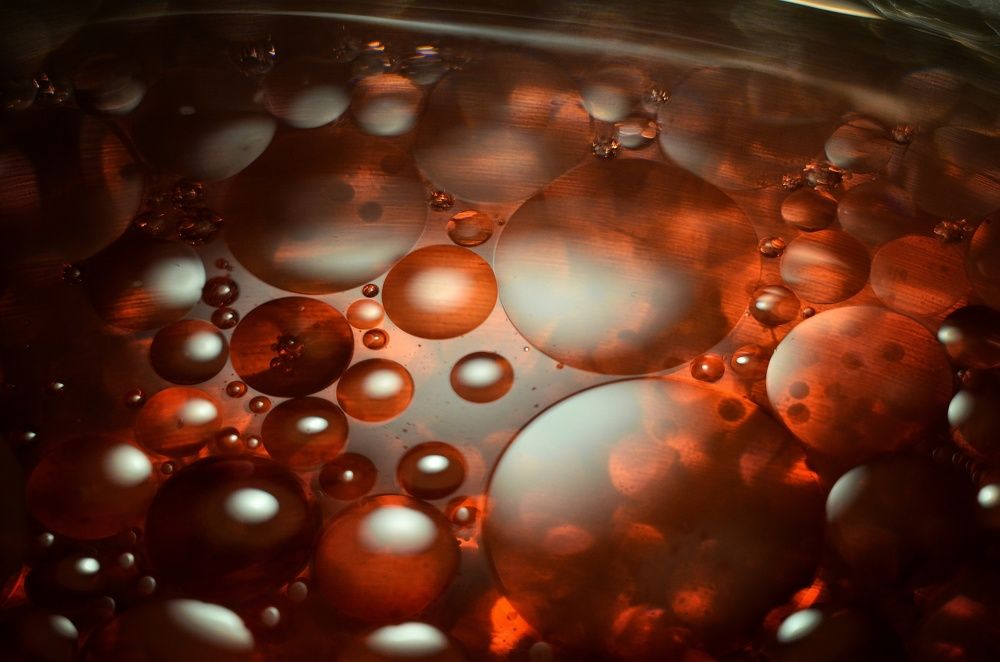 Photograph by Аряева Анна