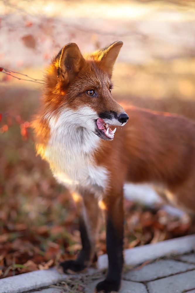 Photograph by Маргарита Федурина