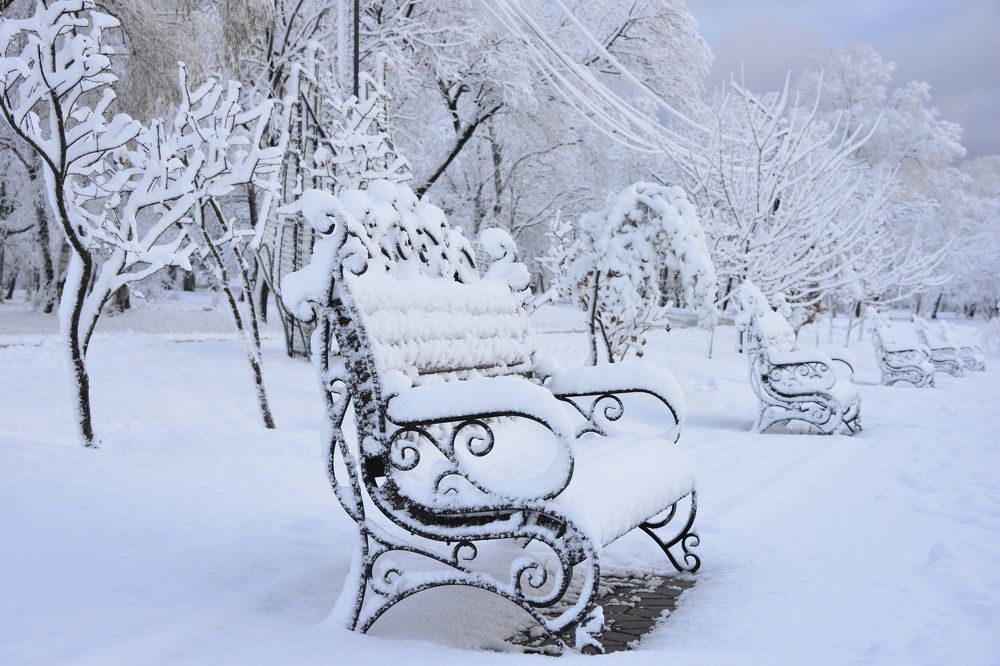 Photograph by Дмитрий Юдин