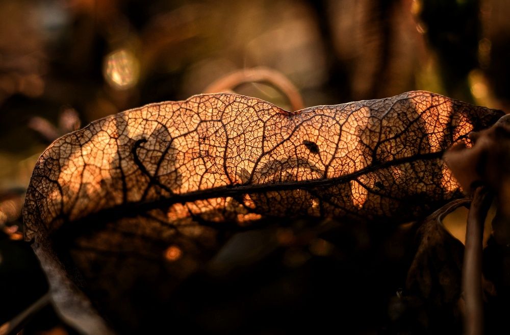 Photograph by Аряева Анна