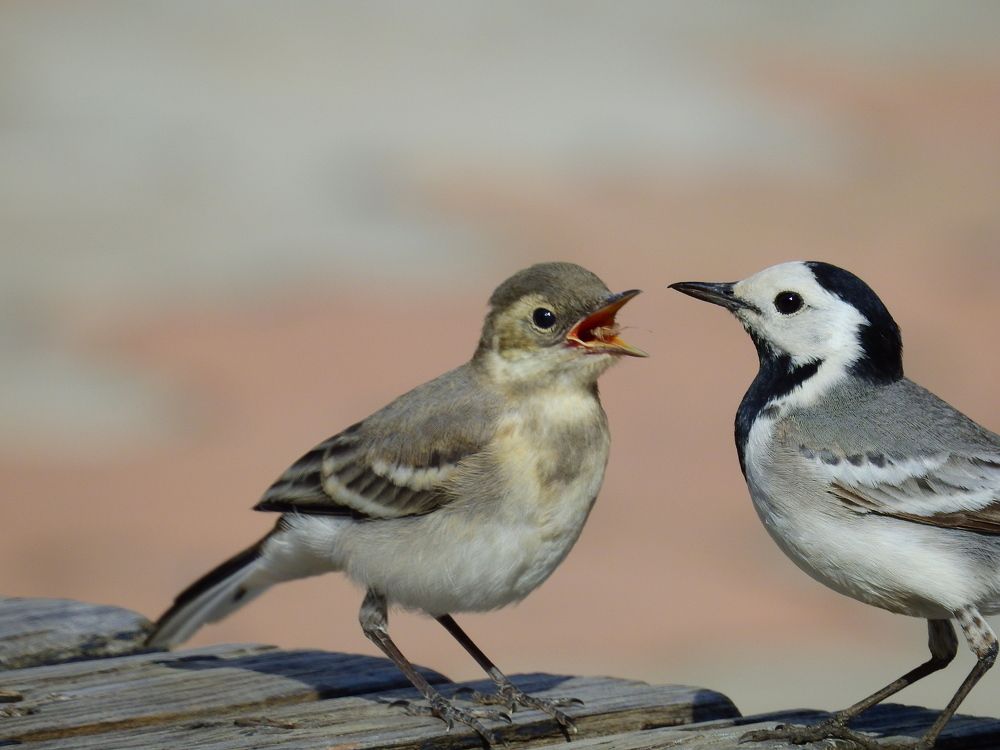 Photograph by Дмитрий Юдин