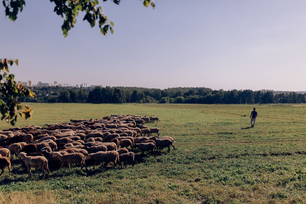 Photograph by Лена Мухортикова